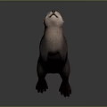 Otter in Standing Posture with Brown Body and Light Colored Head on Gray Gradient Background 3d model
