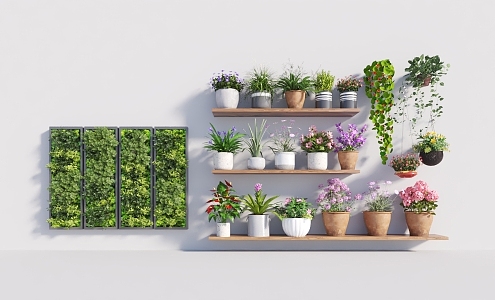 wall hanging plant 3d model