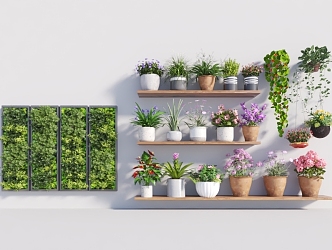 wall hanging plant 3d model