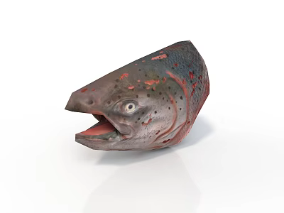 Cartoon style salmon head fish head cartoon fish salmon fish teeth tongue studio scene white background fish creature cartoon items 3d model