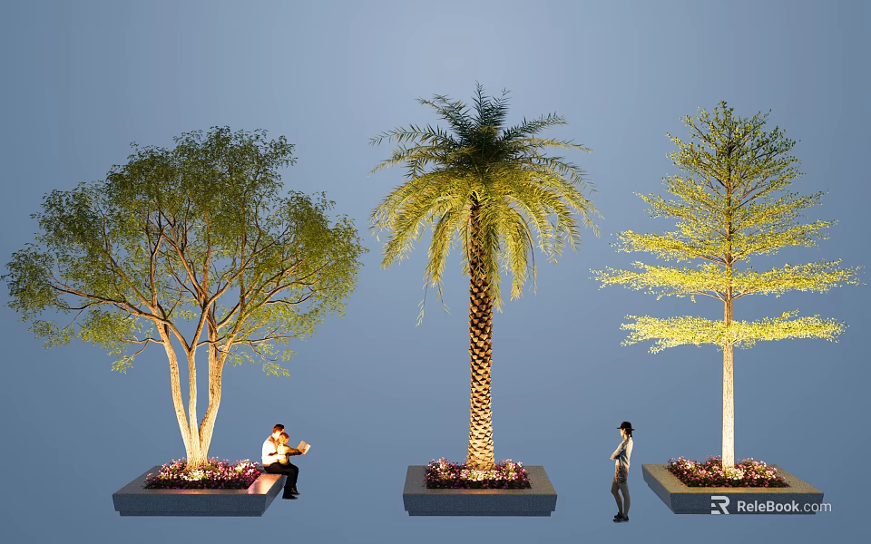 Different Types of Arbor Trees in Outdoor Planters with People Nearby Urban Landscaping 3d model 