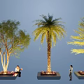 Different Types of Arbor Trees in Outdoor Planters with People Nearby Urban Landscaping