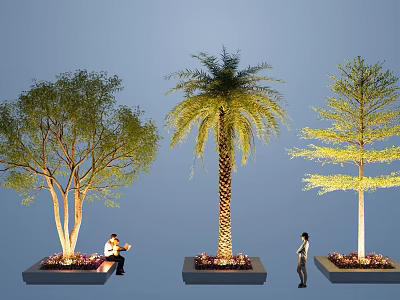 Different Types of Arbor Trees in Outdoor Planters with People Nearby Urban Landscaping 3d model