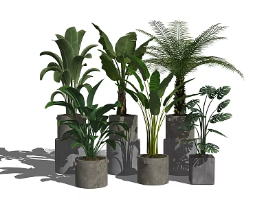 Modern Leafy Potted Plants in Gray Concrete Pots for Indoor Decoration 3d model