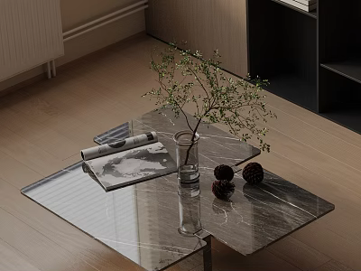 Modern Sofa and Coffee Table Set with Glass Marble Top Green Plant Magazines on Wooden Floor 3d model