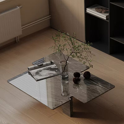 Modern Sofa and Coffee Table Set with Glass Marble Top Green Plant Magazines on Wooden Floor 3d model