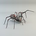 Spotted Reptile With Long Legs And Red Joints On White Background