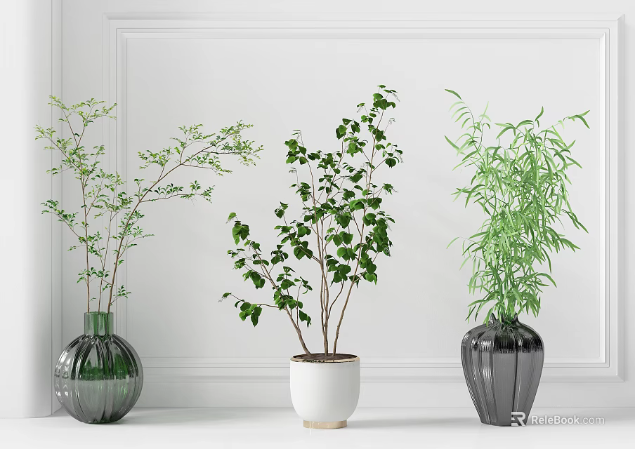 Bonsai Potted Plants With Glass And Ceramic Pots Fresh Green Foliage Against White Wall Interior 3d model 