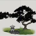 Tall Pine Tree With Stone Lantern Green Grass And Rocks Under Blue Sky 3d model