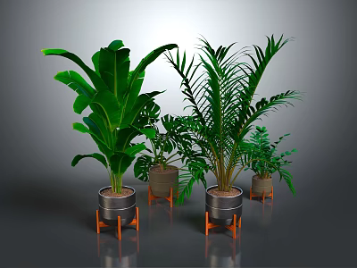 Various Green Plants in Metal Pots with Orange Stands on Grey Background 3d model