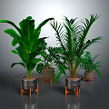 Various Green Plants in Metal Pots with Orange Stands on Grey Background
