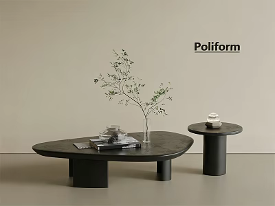 Modern Black Oval Coffee Table With Green Plant Vase Books And Small Round Side Table 3d model