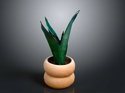 Green Leaf Plant In Terracotta Double Layered Pot With Dark Background 3d model