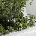 Modern Garden Decor Piece with Glass Container Green Plants and Rock Wall Background