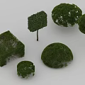 Green 3D Model Shrubs with Various Shapes and Sizes for Landscaping Design 3d model