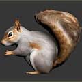 White and Brown Squirrel with Fluffy Tail Standing on Black Background