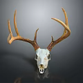 Modern Skull Animal Head Bone Horn Deer Head Bone Fossils 3d model