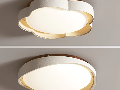 Modern Ceiling Lights With Unique Shapes And Soft Lighting 3d model