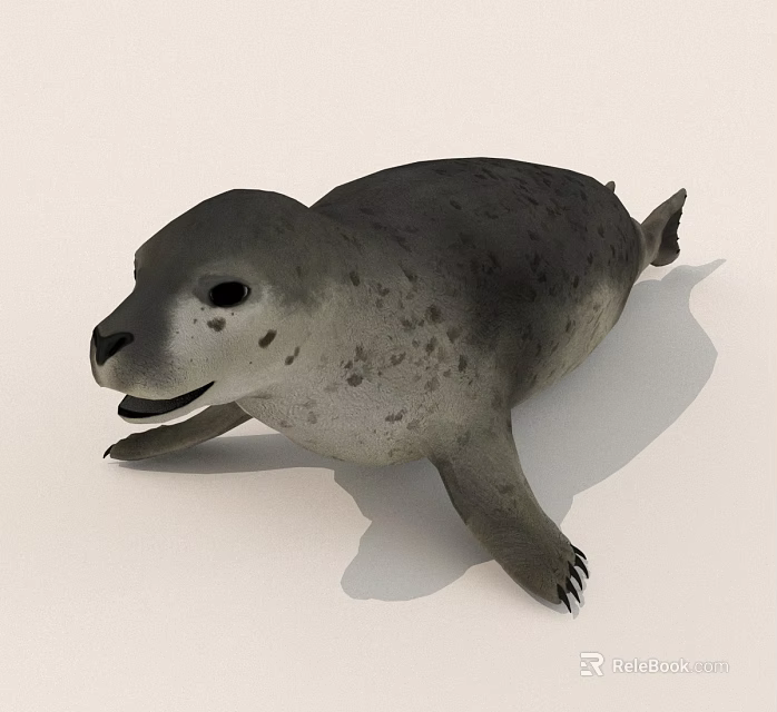 Cute Gray Seal with Spotted Fur Lying on White Surface and Open Mouth 3d model 