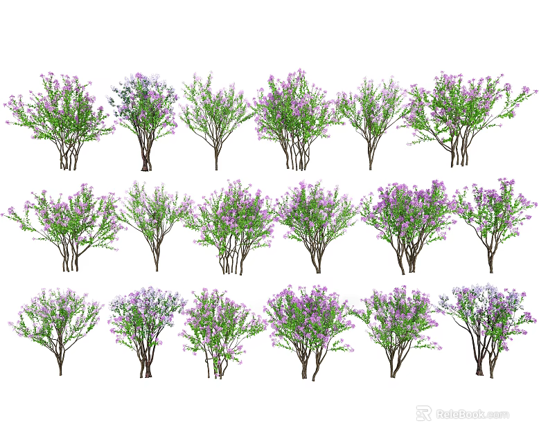 Multiple Arbor Trees With Purple Flowers And Green Foliage In Garden 3d model 