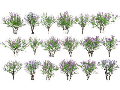 Multiple Arbor Trees With Purple Flowers And Green Foliage In Garden 3d model