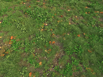 modern grass lawn 3d model