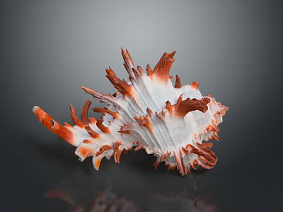 Striking Aquatic Animal Conch with Orange and White Spiky Shell Structure 3d model
