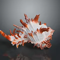 Striking Aquatic Animal Conch with Orange and White Spiky Shell Structure