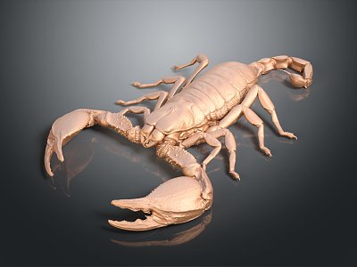 Modern Sculpture Yellow Claw Scorpion Five Striped Scorpion Karolani Scorpion model