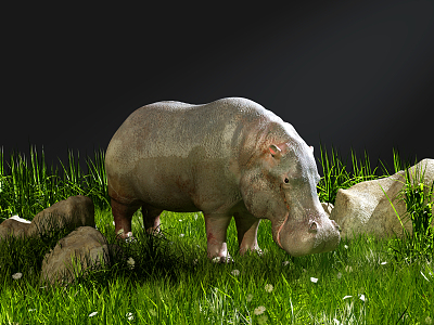 Modern Hippo 3d model