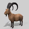 Realistic Brown Goat With Large Curved Horns Standing On Gray Background
