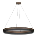 Modern Hanging Chandelier With Ring Shaped Metal Frame And Transparent Lighting Design