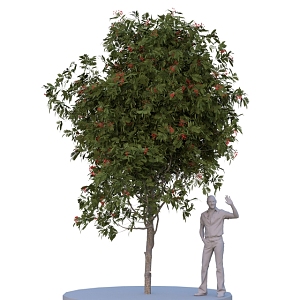 Tree 3d model