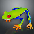 Vibrant Red-eyed Tree Frog With Green Body Blue Legs And Orange Toes