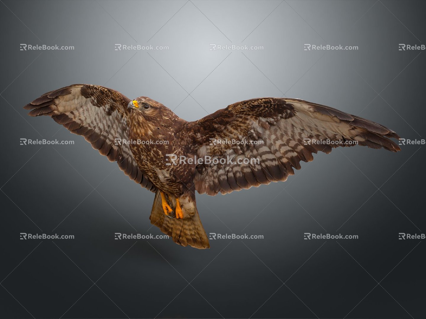 Modern Eagle Eagle Sculpture 3d model