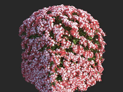 Lush Round Shaped Bush With Vibrant Pink And White Flowers 3d model