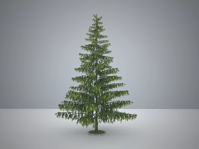 Tall Green Layered Tree With Lush Leaves And Round Base Against Gray Background 3d model