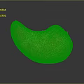 Fresh Ripe Mango With Yellow Orange Speckled Skin Curved Shape on Dark Surface with Reflection