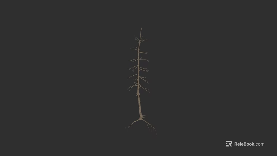 Detailed Arbor Structure With Visible Trunk And Exposed Roots On Black Background 3d model