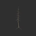 Detailed Arbor Structure With Visible Trunk And Exposed Roots On Black Background 3d model