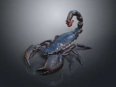 Black Scorpion with Red Tail and Large Claws on Dark Background 3d model