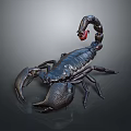 Black Scorpion with Red Tail and Large Claws on Dark Background