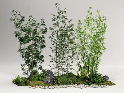 Bamboo Plants In Natural Landscape With Rocks Moss And Ferns 3d model