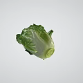 Fresh Green Leafy Lettuce Healthy Organic Vegetable Perfect For Salads And Meals