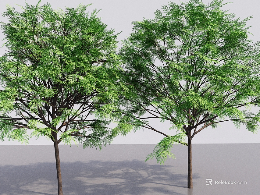 Tall Trees with Lush Green Leaves in Natural Outdoor Landscape and Strong Trunks 3d model 