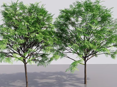 Tall Trees with Lush Green Leaves in Natural Outdoor Landscape and Strong Trunks 3d model