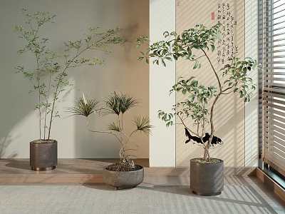 Elegant Bonsai Potted Plants In Indoor Chinese Decor With Calligraphy Scroll Natural Light Ceramic Pots 3d model