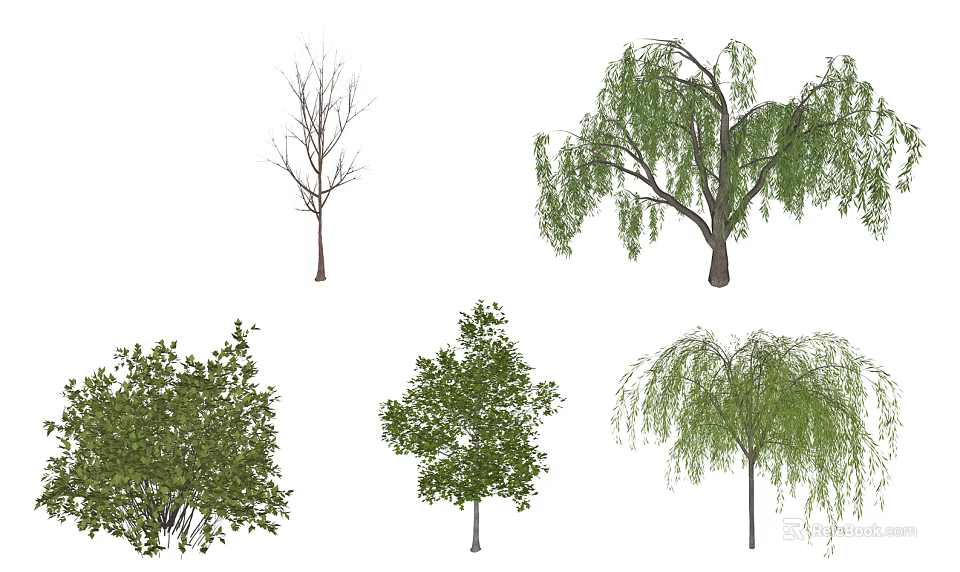 Various Types Of Trees Including Willow And Broadleaf With Foliage And Bare Branches 3d model 