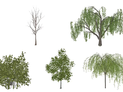 Various Types Of Trees Including Willow And Broadleaf With Foliage And Bare Branches 3d model