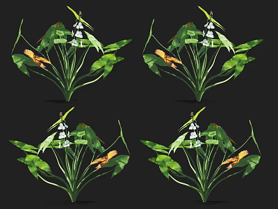 Aquatic Plants With Green Leaves And White Flowers Growing In Water 3d model